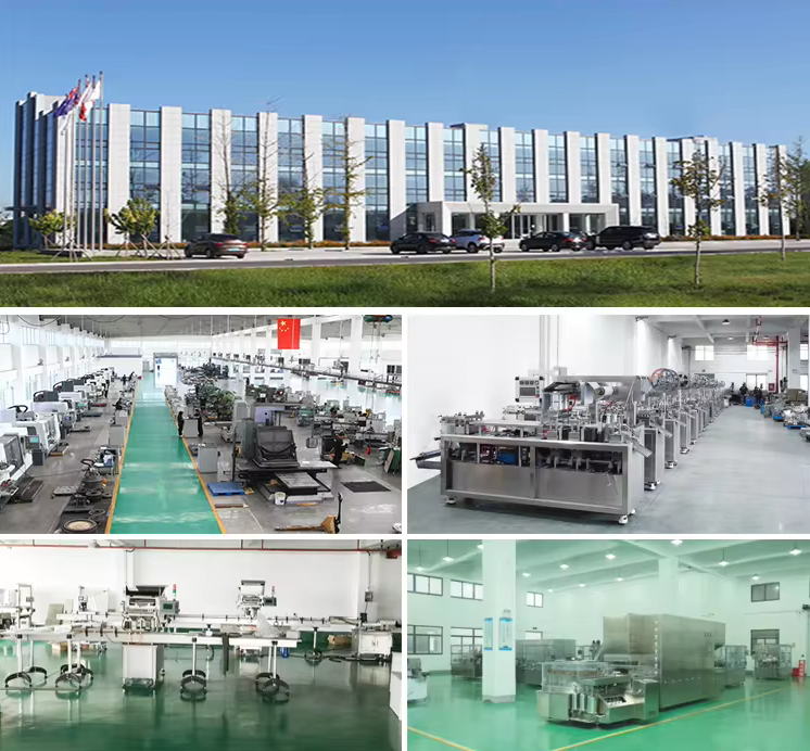 Company Profile