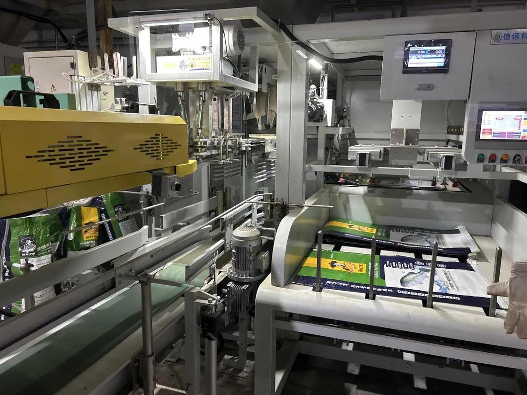 Conveyor System Detailed View