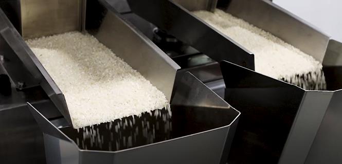 Rice Case