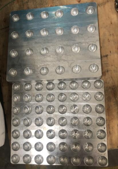 Mold Sample 1