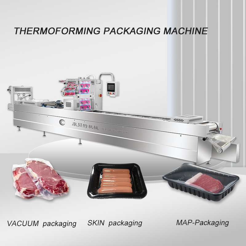 Packaging Machine Drawing Details