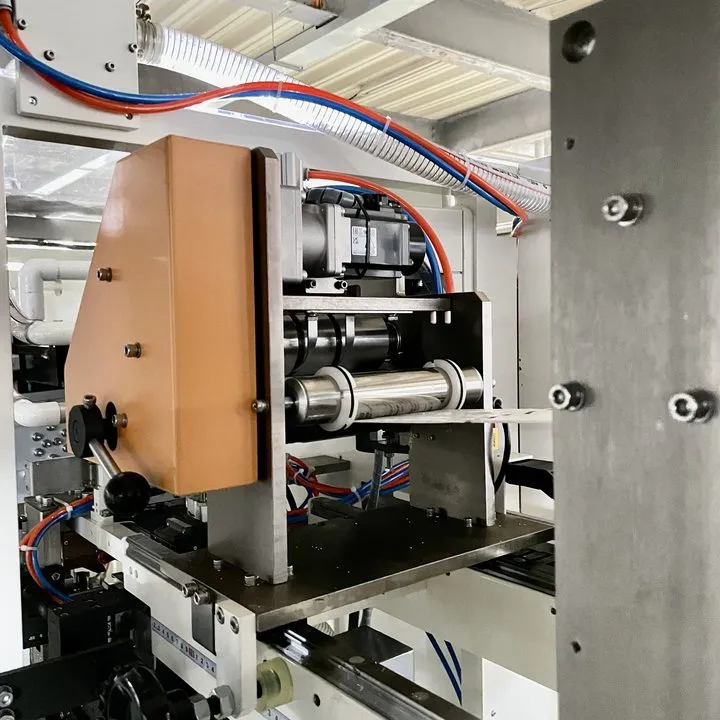 Temperature control system packaging machine