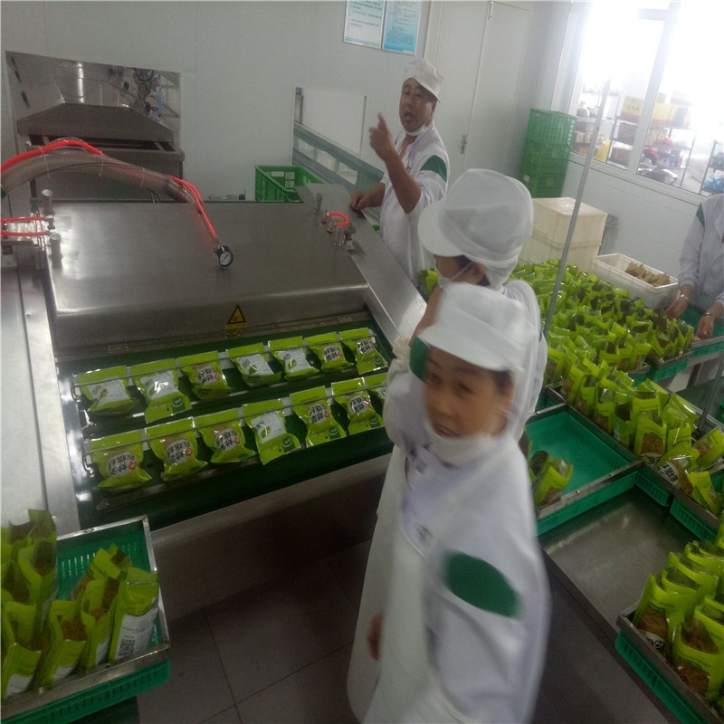 High-precision Vacuum Control Conveyor Belt Vacuum Packing Machine for Marinated Products Processing