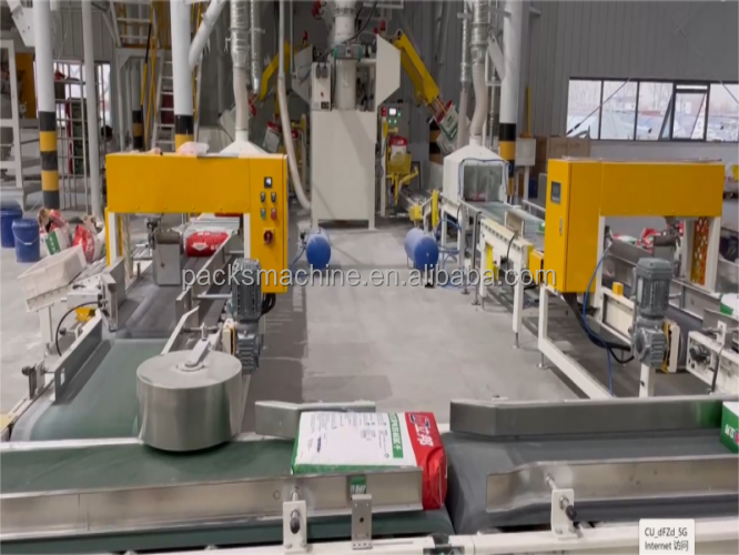 Conveying System