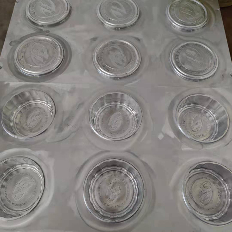 Mould Show 3