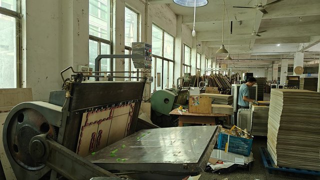 Nexa Machine automatic food packaging system in operation