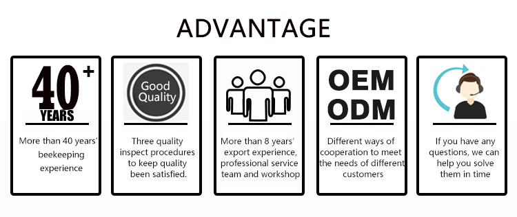 Advantages Infographic