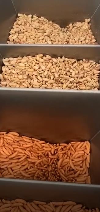 Nut Mix Case