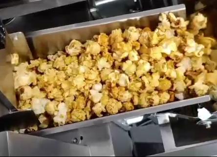 Popcorn Case