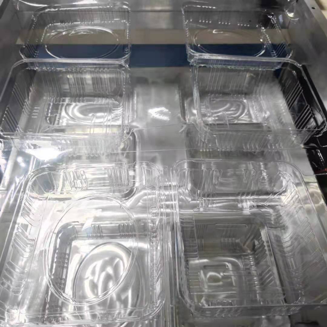 Mould Show 2