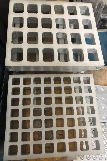 Mold Sample 2