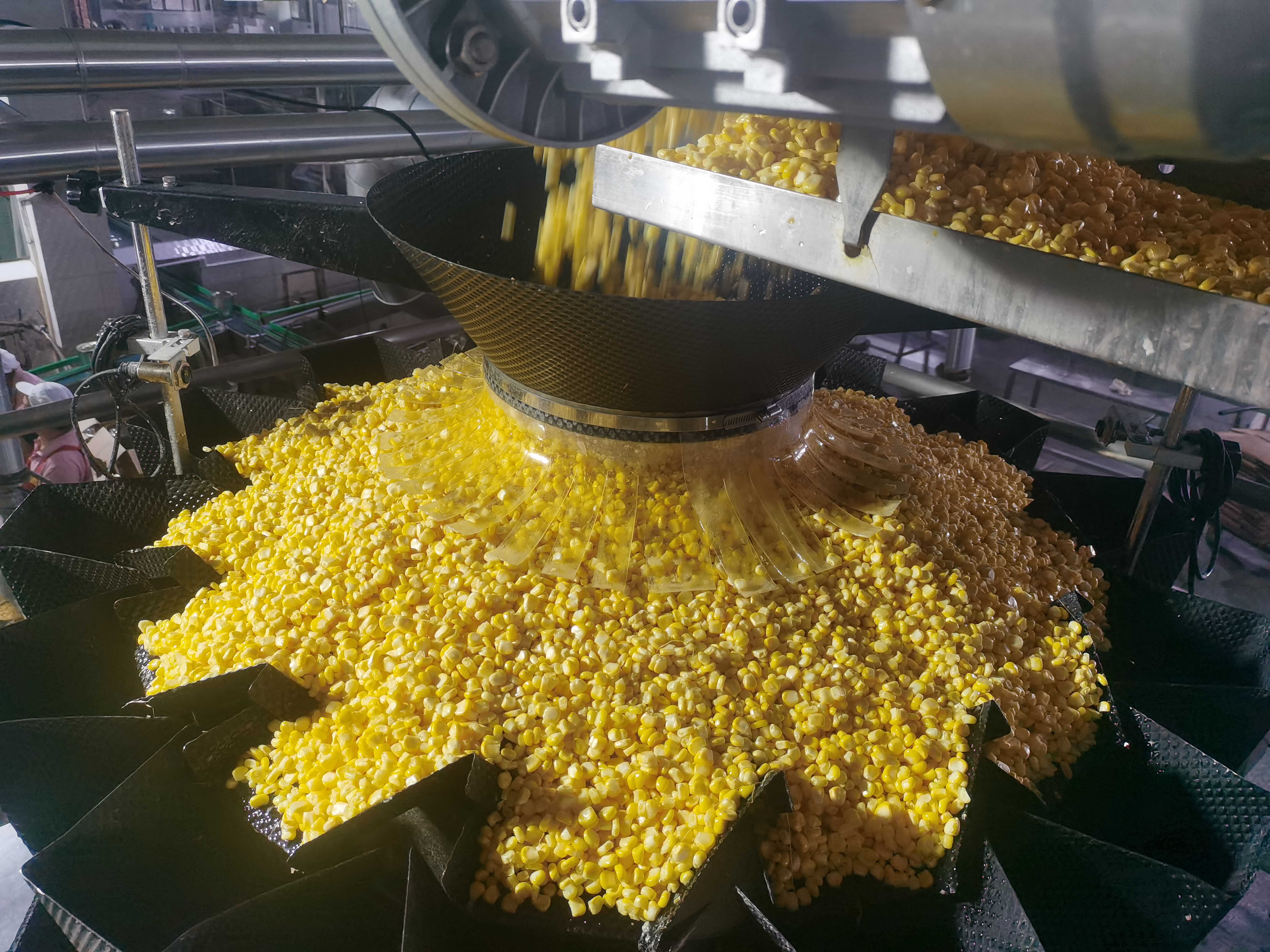 Corn kernels