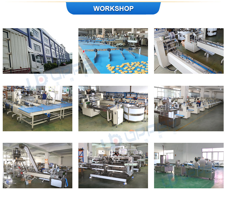 Water Fitter Cartooning Machine for 6 Pcs Collection Into One Paper Box , Boxing Machine