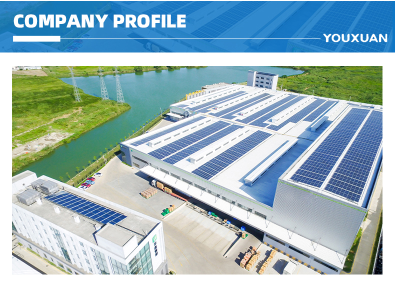 Company Office and Team