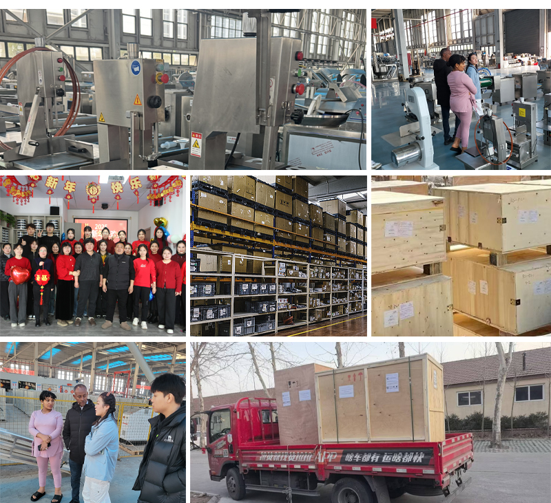 Our Team and Factory
