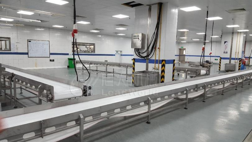 Conveyor Structure