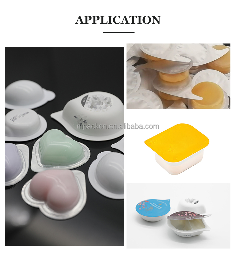 Application 1