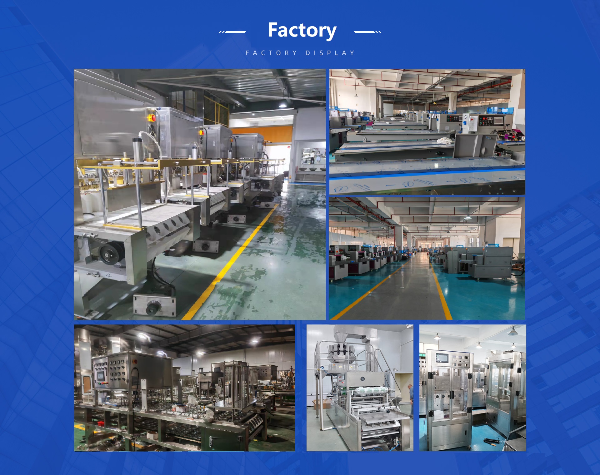 Flow Vacuum Thermo Forming Packing Machine Automatic Function