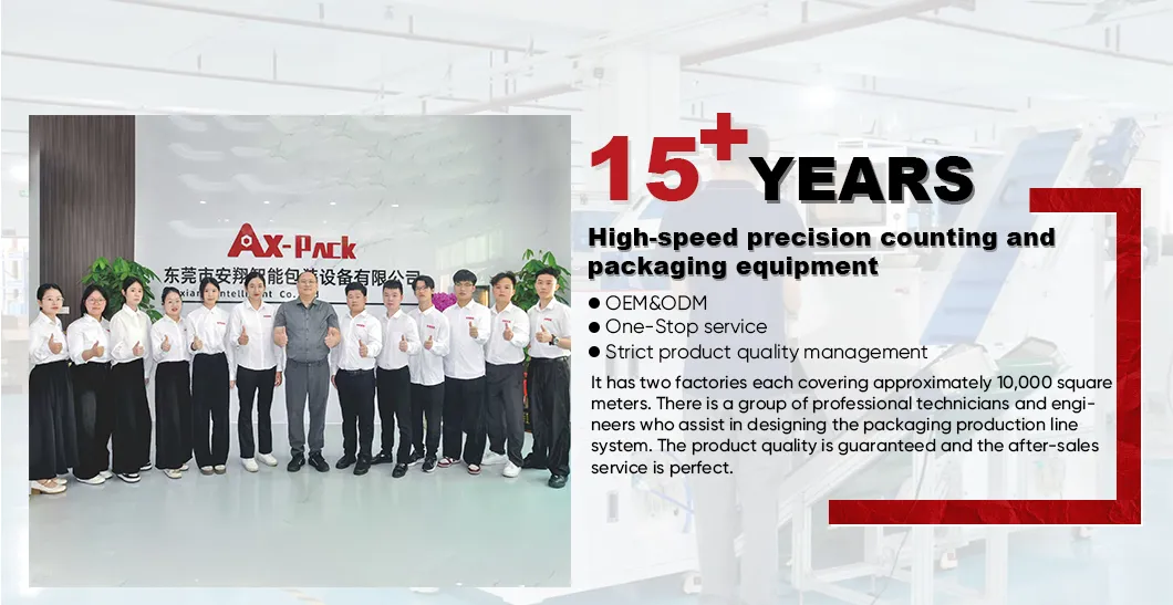 High Precision PE Bag Hardware Visual Counting Auto Bagging Machine