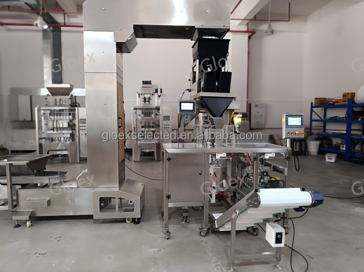 CE Approved Linear Automatic Mini Stand Up Pouch Packaging Machine Kraft Paper Doypack Bags With Zipper Packing Machine