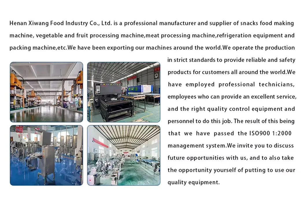 Back Sealing Spice Nut Coffee Powder Seasoning Powder Packing Machine Packaging Machine
