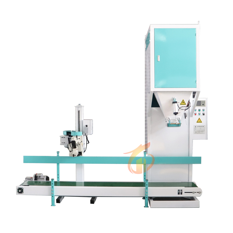 Conveyor Belt Feed