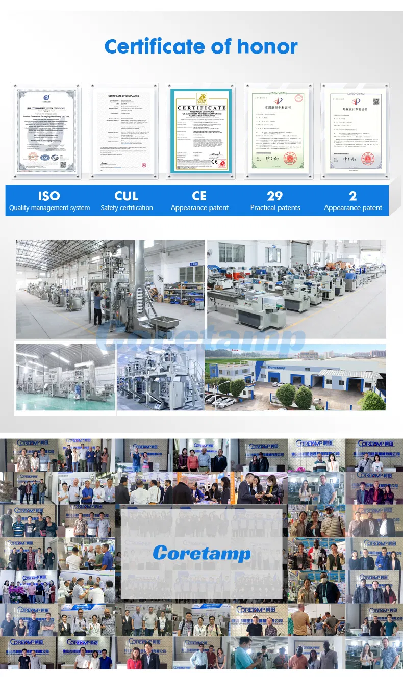 Automatic Spice Powder Sachet Packaging Machine