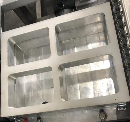 Mold Sample 3