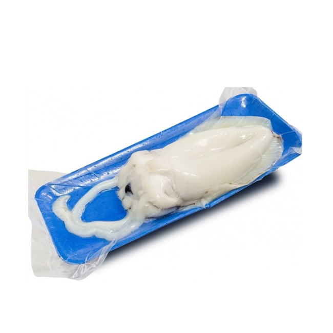 Custom Mold Example 10