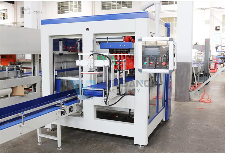 Carton Packing Line