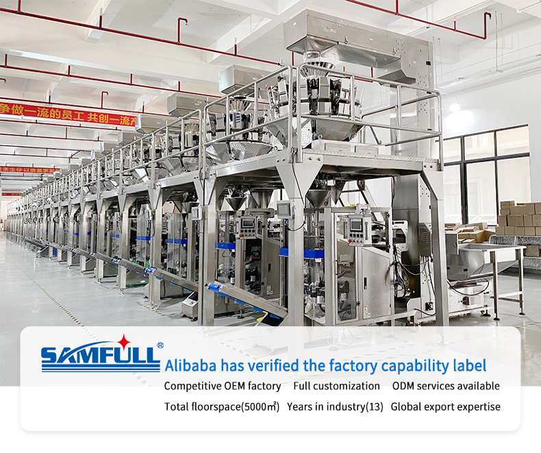 Packaging Machine Overview 1