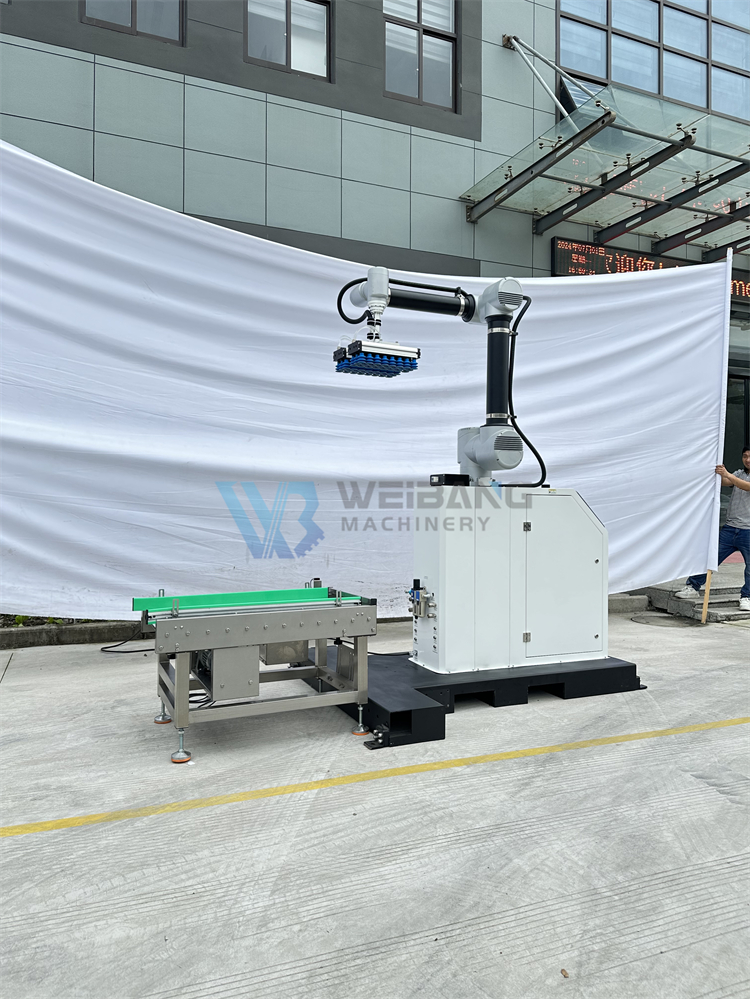 Robot Palletizer Area 2