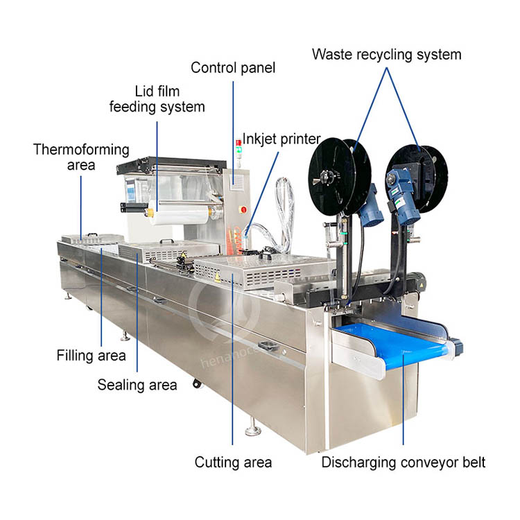 OCEAN Automatic Pump Sausage Date Seal Jerky Beef Food Thermoformer Pack Form Machine Thermoform Vacuum Package Machine
