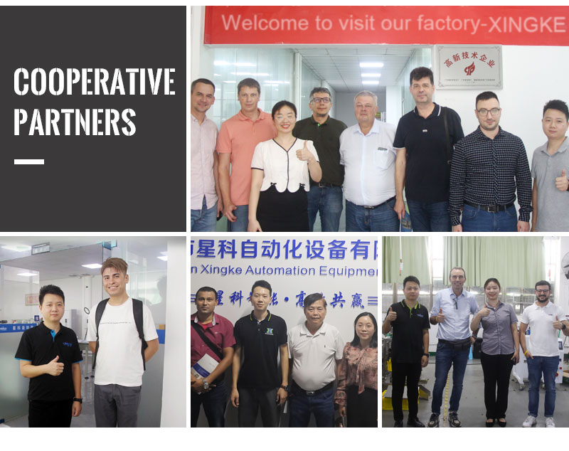 China Manufacturer Nice Price Small Automatic Packaging Machine Pouch Sachet Packaging Machinery Automatic Bag Premade Machine