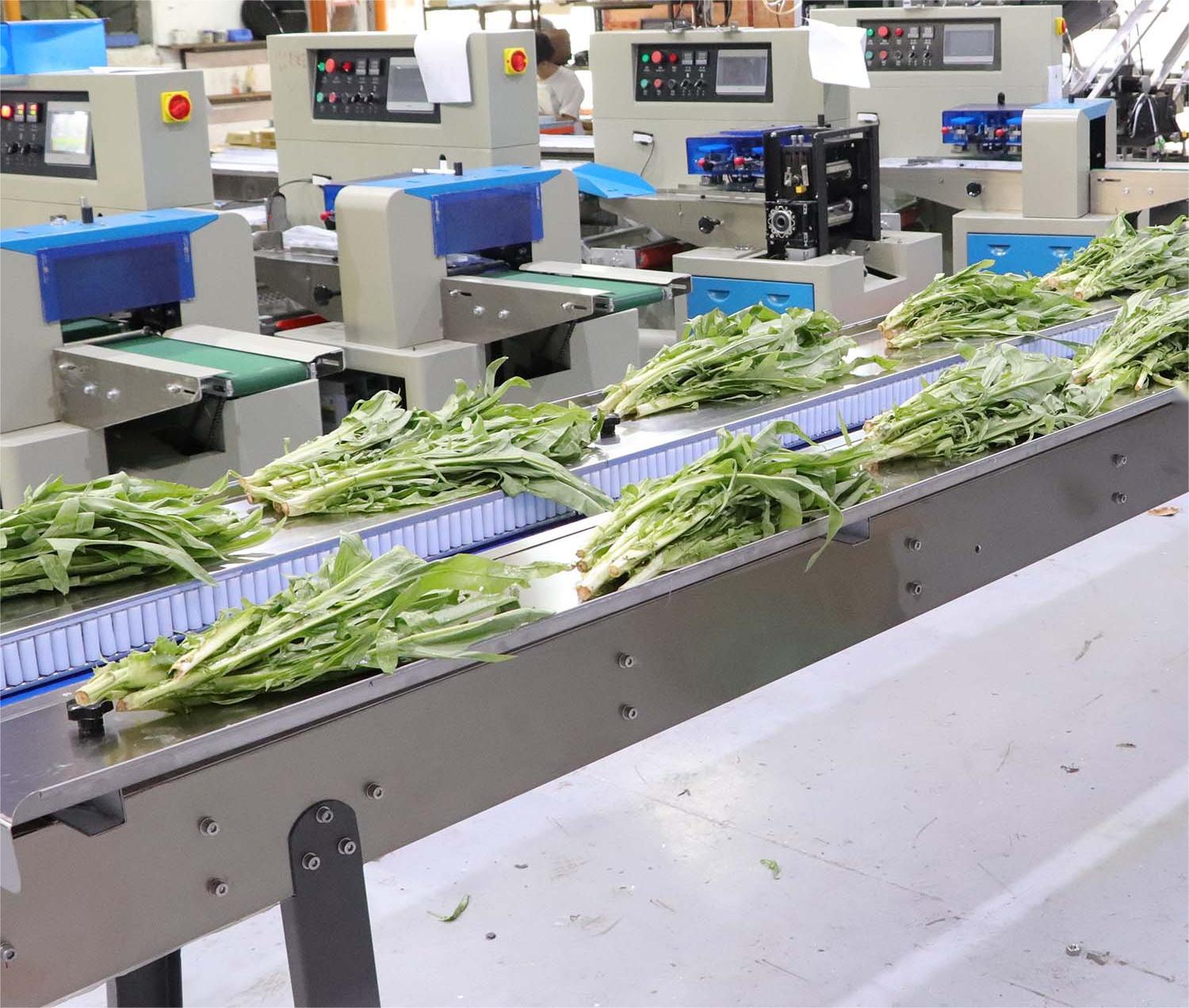 Candy Horizontal Flow Wrapping Packaging Machine Film Roll Pillow Type Automatic Servo Packing Machine for Hard Sweets