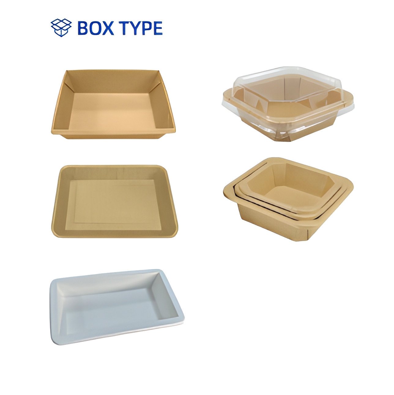 ZX-700 Automatic Octagonal Carton Box Thermoforming Machines Fruit Takeaway Cake Box Forming Making Machine