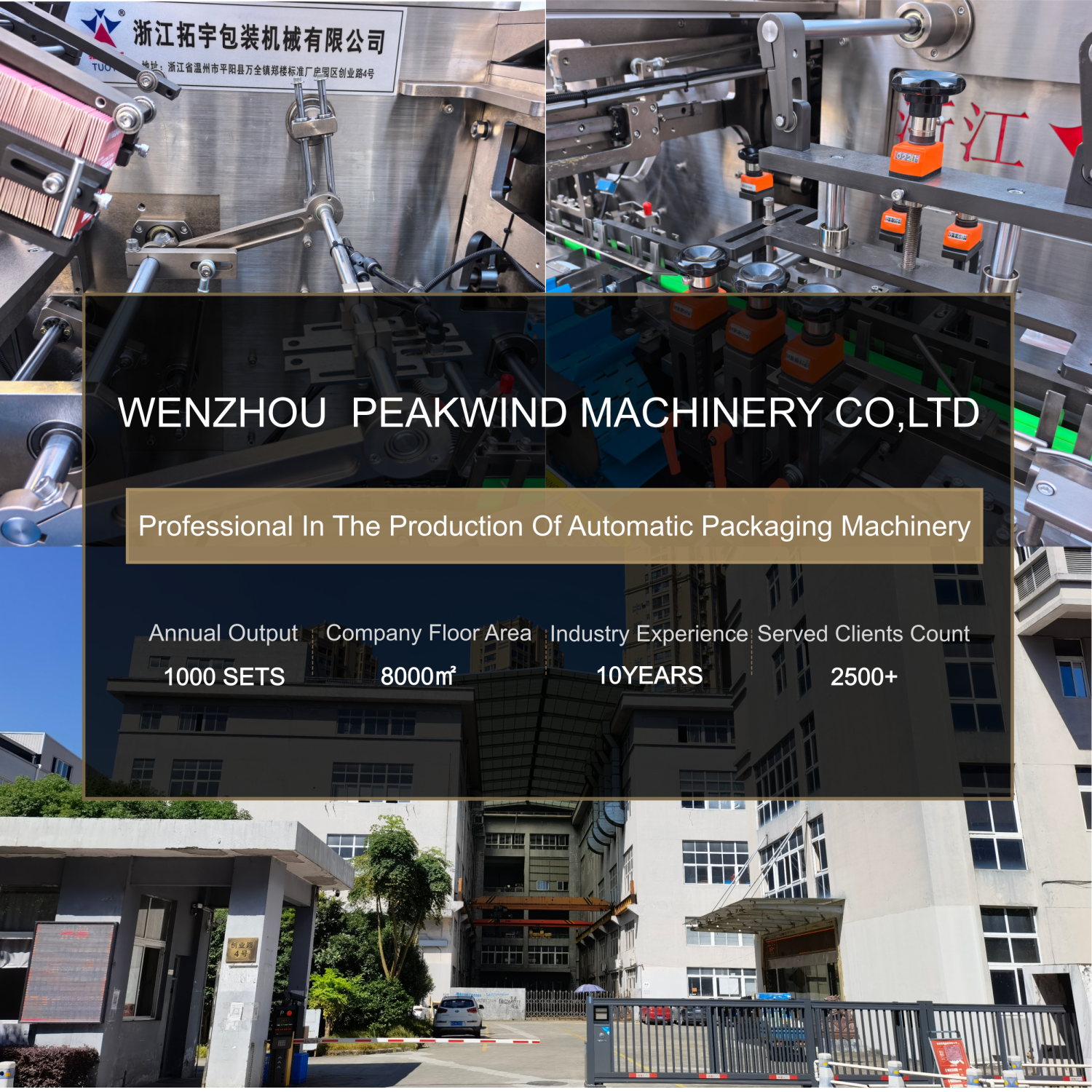 factory hot sale high speed Automatic Cartooning Machine for multi sachets, steaks ,tea bags packaging into cartons