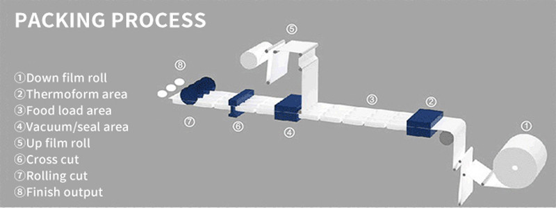 Customized Mold System