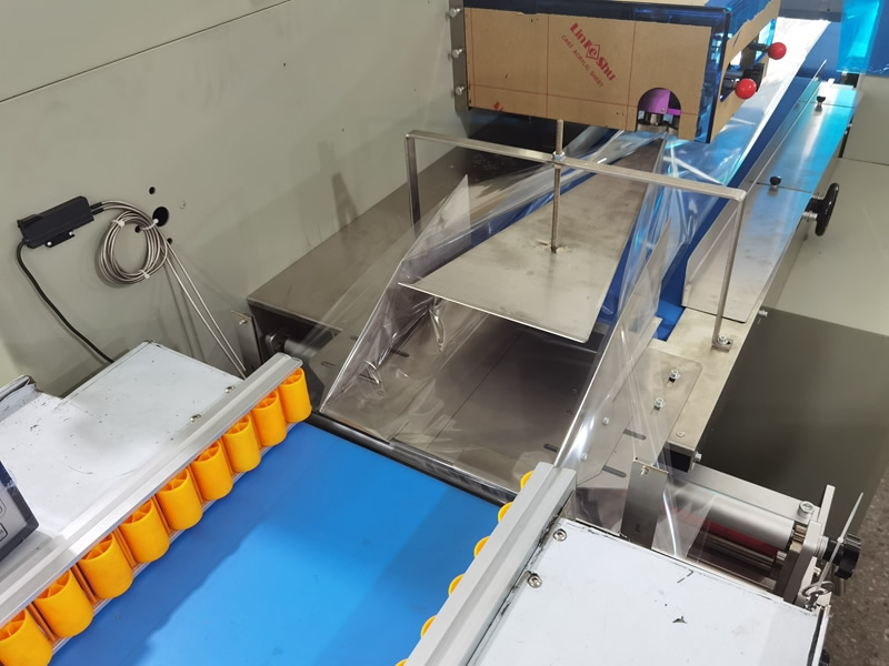 Chain Conveyor Feeding System