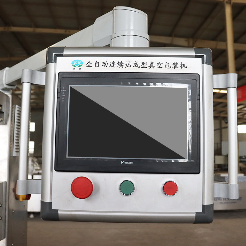 Touch Screen Panel