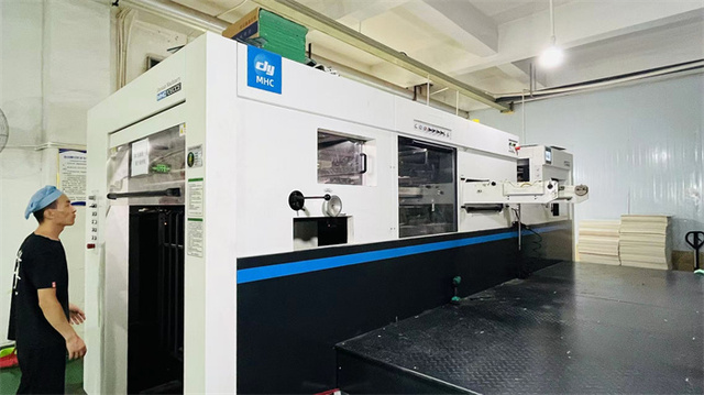 Sachet and pouch packaging machine for powders and liquids