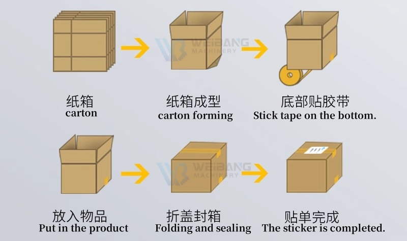 Main Carton Samples