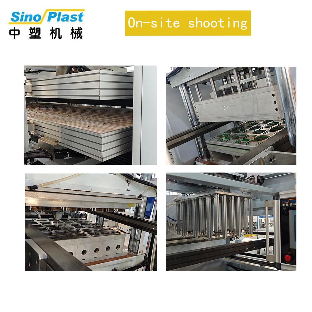 Fully Automatic Four Station Thermoforming Machine for PS PP PET PVC Bi-Color Food Trays Salad Clamshell Motor Pump High