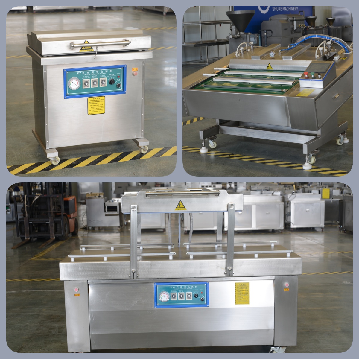 Vacuum Packaging Machine Details