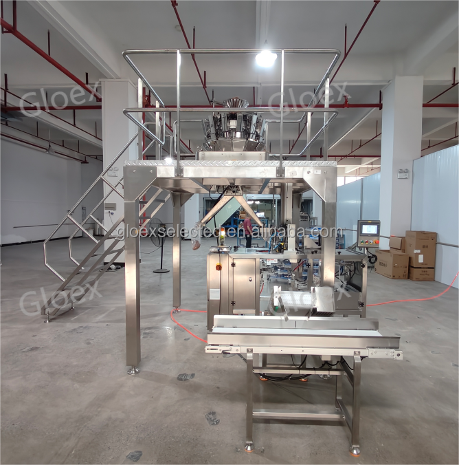 CE Approved Linear Automatic Mini Stand Up Pouch Packaging Machine Kraft Paper Doypack Bags With Zipper Packing Machine