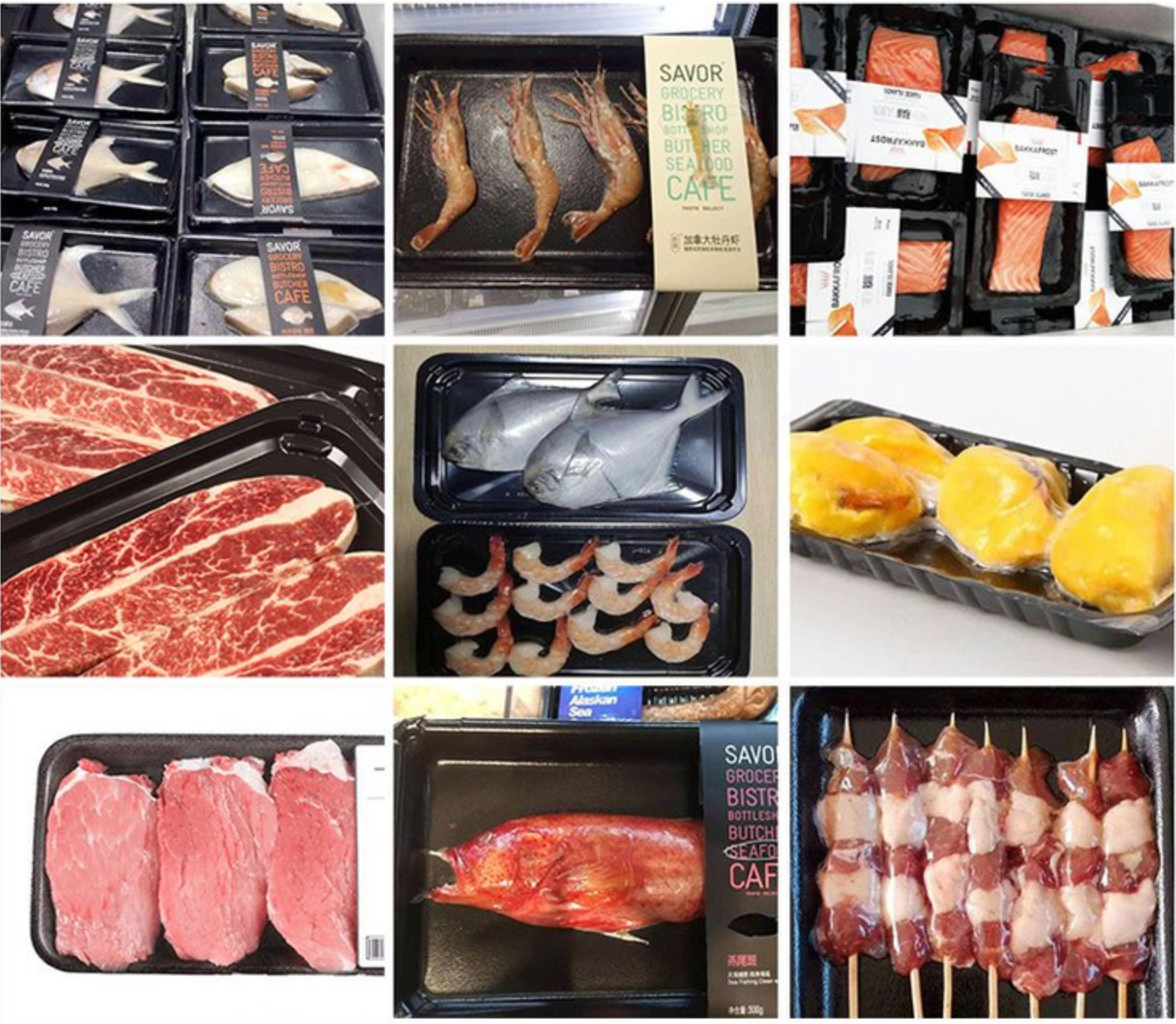 Skin Packaging Applications