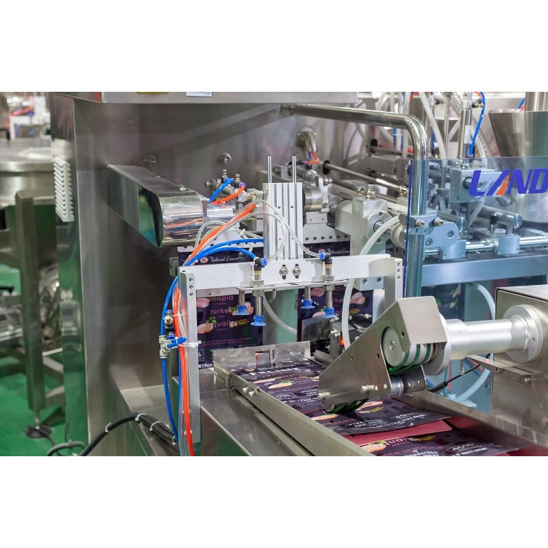 Automatic Detergent Powder Flour Horizontal Premade Pouch Doypack Powder Packing Packaging Machine