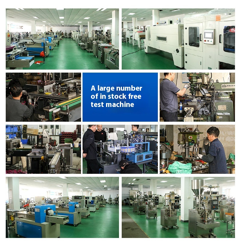 Vertical External Vacuum Packaging Machine Details 11