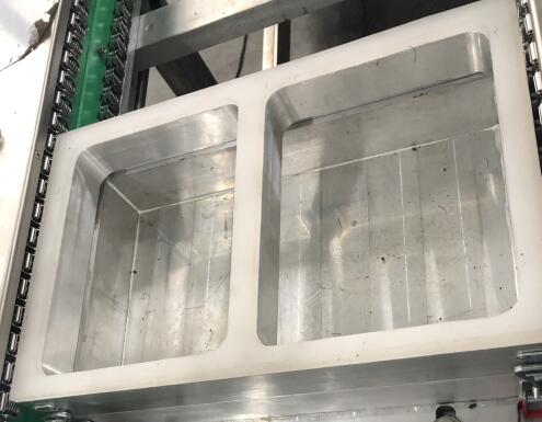 Mold Sample 4