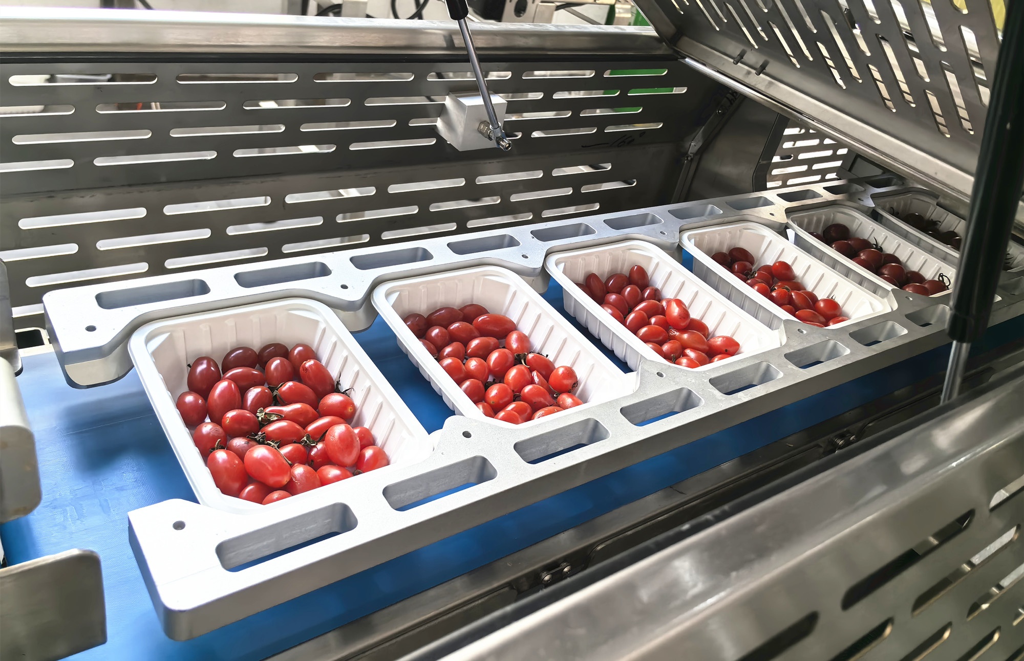 Ruibao BQS-QH2000 Linear Automatic Tray Sealer Line Lettuce Modified Atmosphere Packaging Machine for Vegetables and Fruits